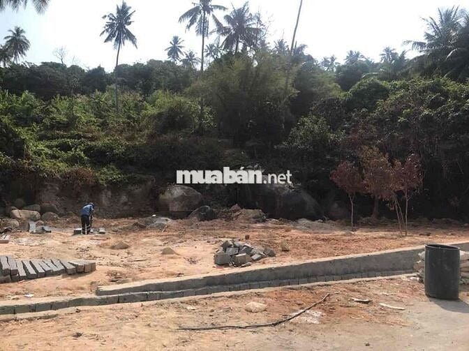 Đất mặt tiền đường lên đỉnh Ma Thiên Lãnh ( hòn Sơn)