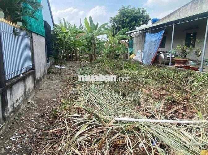 Chính chủ cần bán gấp đất 300m² hẻm ô tô vào tận nơi