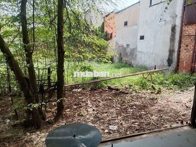 Cho thuê xưởng cao ráo thoáng mát ko ngập nước