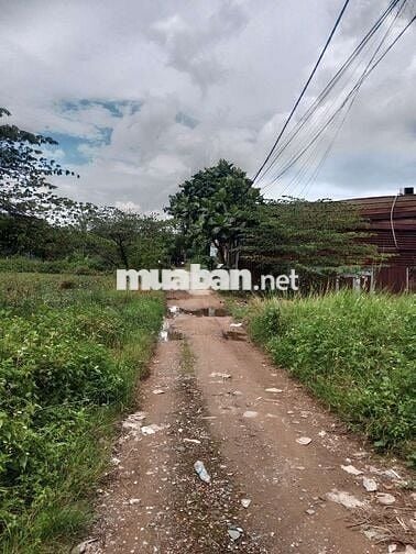 Cho thuê xưởng cao ráo thoáng mát ko ngập nước