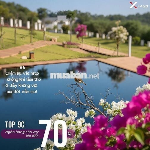 Lô 9C-34 Garden Hill 9C – 157m² hướng Tây Bắc, giá siêu tốt dưới 1 tỷ!