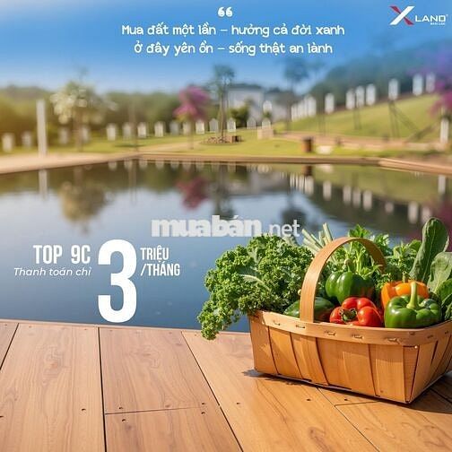 Lô 9C-34 Garden Hill 9C – 157m² hướng Tây Bắc, giá siêu tốt dưới 1 tỷ!