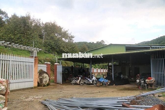 Bán Trang trại 75000m2 Lộc Nam- Bảo Lâm- Lâm Đồng cũ