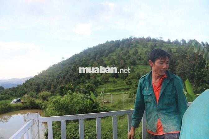 Bán Trang trại 75000m2 Lộc Nam- Bảo Lâm- Lâm Đồng cũ