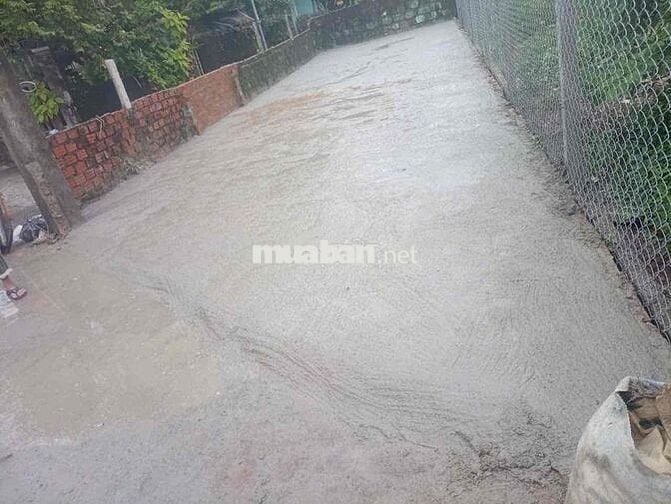 💥Bán đất 3MT đường Bình Thái 4 - Hoà Thọ Đông- Cẩm Lệ - Đà Nẵng