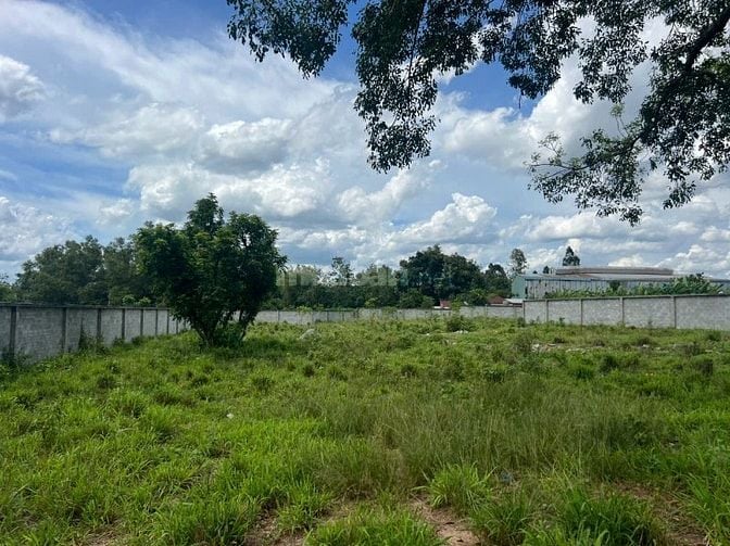 ĐẤT Lai Hưng, bàu bàng sát BẾN CÁT - CHÍNH CHỦ CẦN BÁN GẤP!