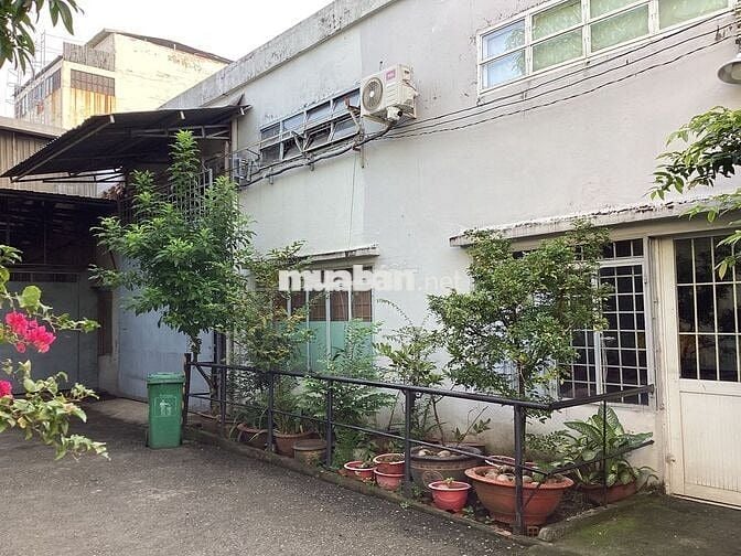 cho thue mặt bằng sản xuất kinh doanh