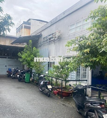 cho thue mặt bằng sản xuất kinh doanh