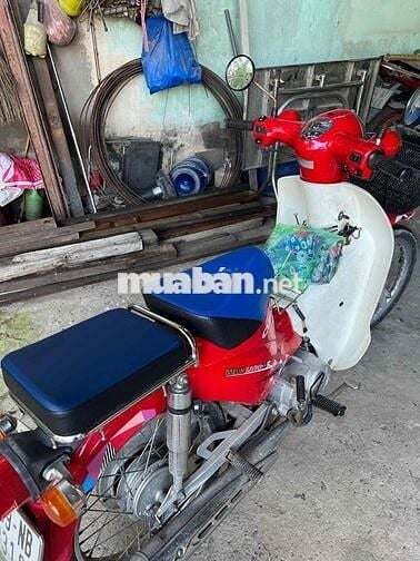 bán xe cup học sinh