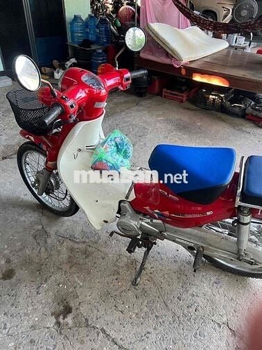 bán xe cup học sinh