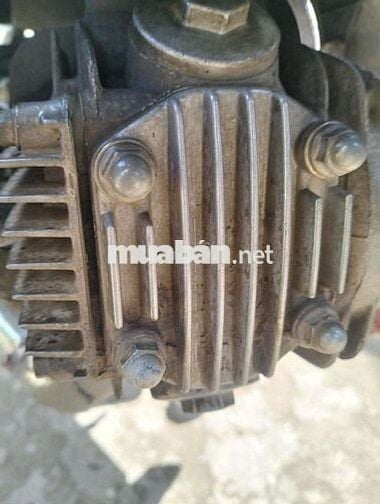 Xe zin mộc biển số 65