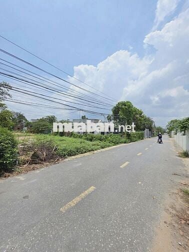 Cần sang nhanh 500m2 đất MT DH519 đường nhựa 32m giá rẻ