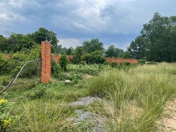 Bán Đất Mặt Tiền đường Hồ Chí Mình