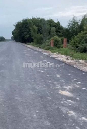 Bán Đất Mặt Tiền đường Hồ Chí Mình