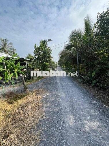 bán đất thổ cư có vườn lương bình bến lức long an