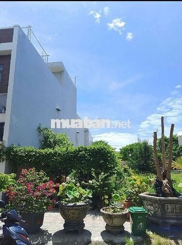 🏡 QUÁ SỐC  ĐẤT ĐẸP GẦN BIỂN TÂN TRÀ NGŨ HÀNH SƠN CHỈ HƠN 4 TỶ NHẸ THÔI