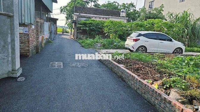 SÁT ĐƯỜNG DẪN CẦU TỨ LIÊN- NGÕ NÔNG- Ô TÔ VÀO