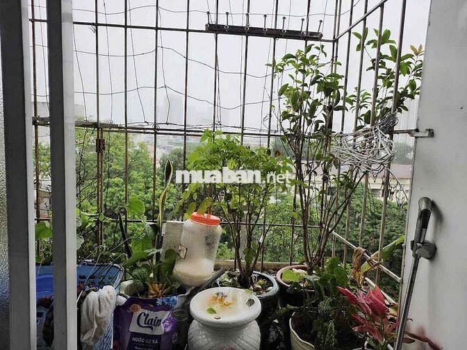 Bán 2 Căn CCMN Sổ Hồng Chung Phôi Từng Căn - Khương Hạ, Khương Trung