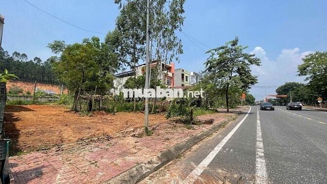 Đất đẹp mặt đường Trường Chinh, Xuân Hòa, Phúc Yên, Vĩnh Phúc