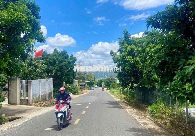 BÁN VƯỜN ĐẤT CÓ VILLA  – VIEW ĐỒI THÔNG, GẦN ĐÀ LẠT