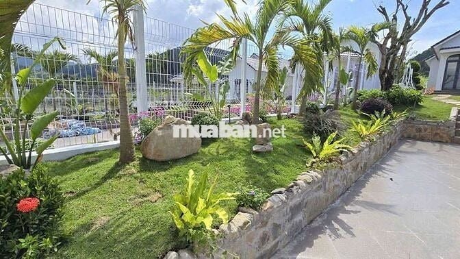 BÁN VƯỜN ĐẤT CÓ VILLA  – VIEW ĐỒI THÔNG, GẦN ĐÀ LẠT