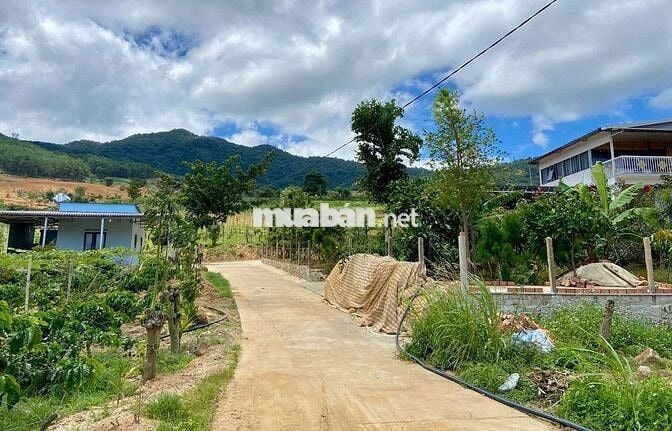 BÁN VƯỜN ĐẤT CÓ VILLA  – VIEW ĐỒI THÔNG, GẦN ĐÀ LẠT