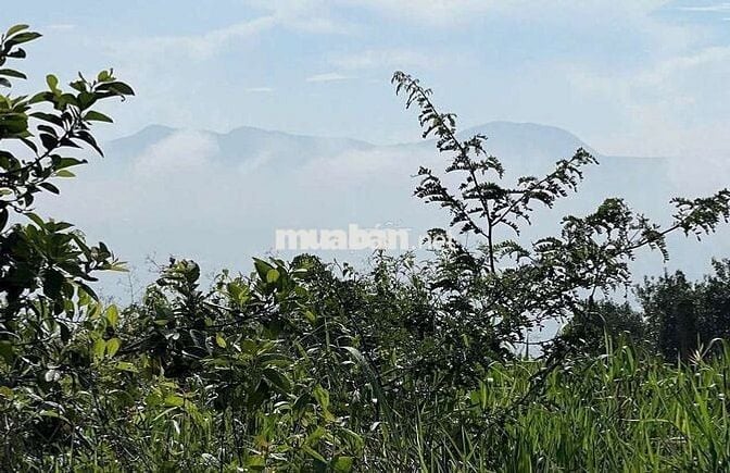 BÁN VƯỜN ĐẤT CÓ VILLA  – VIEW ĐỒI THÔNG, GẦN ĐÀ LẠT