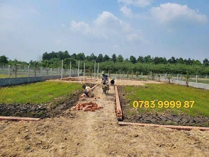 🏡 BÁN ĐẤT NHÀ VƯỜN ĐẸP NHƯ RESORT – TRUNG TÂM THỊ TRẤN GÒ DẦU 🏡