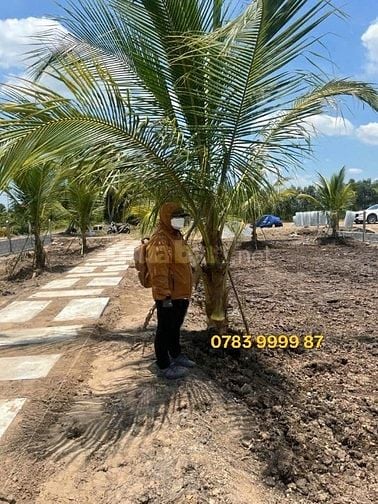 🏡 BÁN ĐẤT NHÀ VƯỜN ĐẸP NHƯ RESORT – TRUNG TÂM THỊ TRẤN GÒ DẦU 🏡