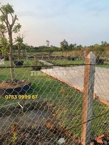 🏡 BÁN ĐẤT NHÀ VƯỜN ĐẸP NHƯ RESORT – TRUNG TÂM THỊ TRẤN GÒ DẦU 🏡