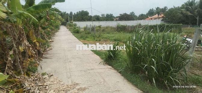 Chính chủ, 100% thổ cư, chỉ hơn 5tr/m2, lô đất gần KCN, QL1A, cao tốc