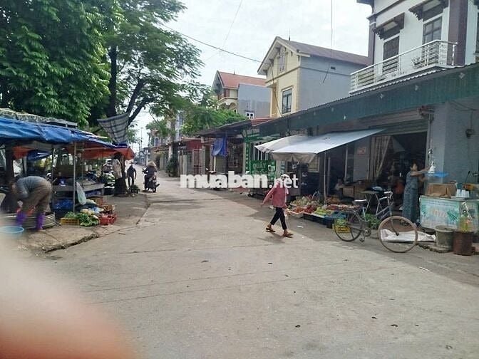 Bán đất trung tâm thôn Tráng Việt, Mê Linh Hà Nội