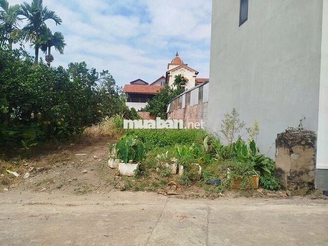 Bán đất trung tâm thôn Tráng Việt, Mê Linh Hà Nội