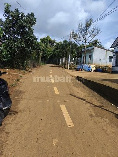 BÁN GẤP CĂN NHÀ CẤP 4 NGAY XÃ LỘC AN 403M2 CÓ 250M THỔ CƯ GIÁ : 1,8 TỶ