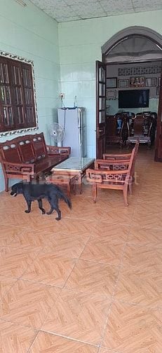 TÌM NGƯỜI CÓ SỨC KHỎE CHĂM CỤ ÔNG 80 TUỔI