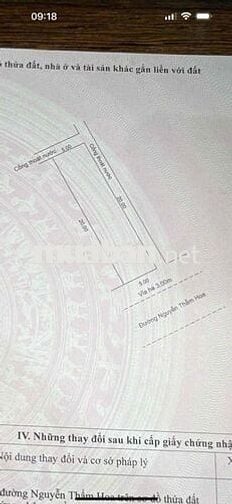 Hiếm Kẹp Cống (hoàng Thiều Hoa )