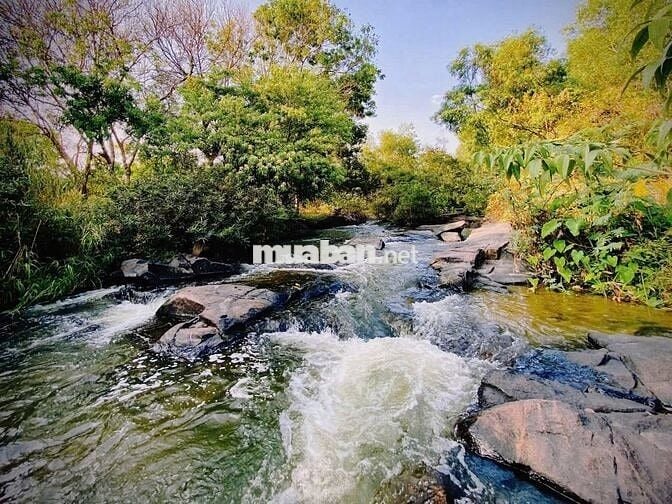 BÁN CĂN HOMESTAY BẢO LỘC - PHƯỜNG 1, Cách Đường Nguyễn Văn Cừ 200m