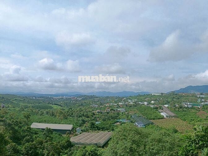 BÁN CĂN HOMESTAY BẢO LỘC - PHƯỜNG 1, Cách Đường Nguyễn Văn Cừ 200m