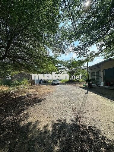 CHÍNH CHỦ CẦN BÁN ĐẤT THỔ CƯ – XÃ LONG HÒA, TỈNH LONG AN 📍 Vị trí: Xã