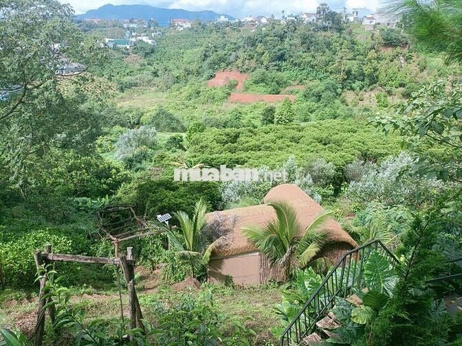 BÁN CĂN HOMESTAY BẢO LỘC - PHƯỜNG 1, Cách Đường Nguyễn Văn Cừ 200m