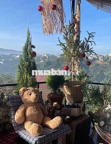 BÁN CĂN HOMESTAY BẢO LỘC - PHƯỜNG 1, Cách Đường Nguyễn Văn Cừ 200m