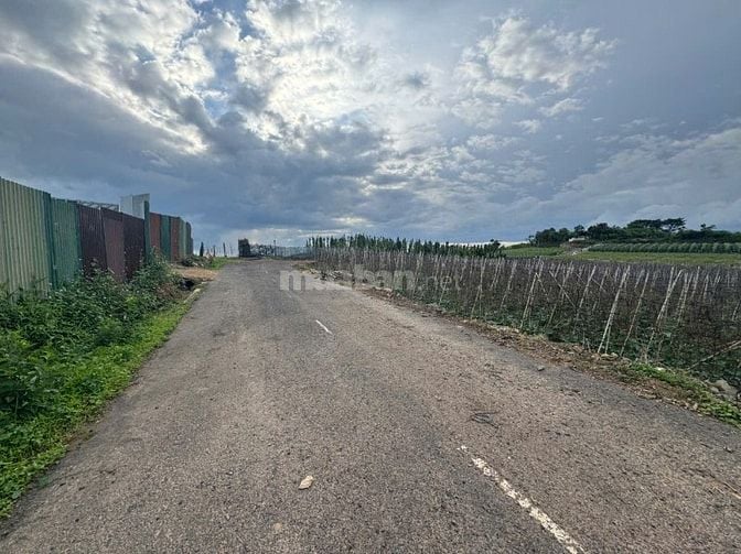 Cần bán 12 lô đất. Xã Phú Hội, Xã Ninh Gia, xã Tà Hine. xã Lạc Dương. 