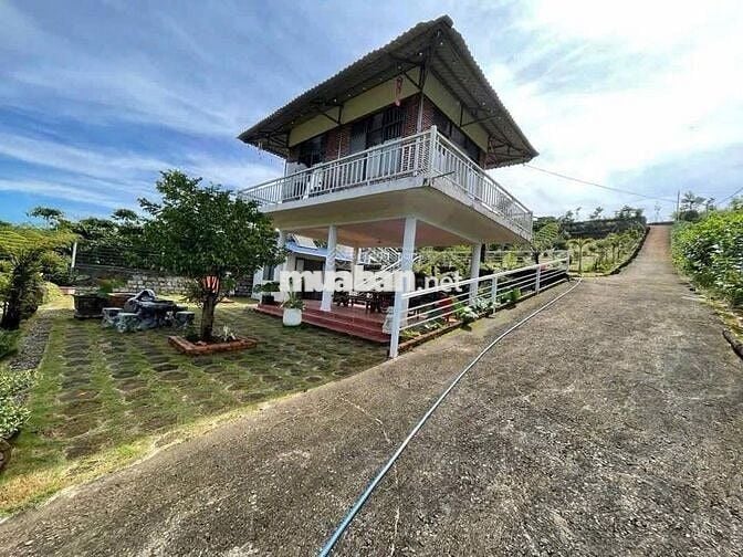 Bán nhanh lô đất view hồ 23x82,3m 1893m2 giá 500triệu sẵn nhà homestay