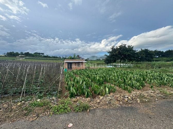 Cần bán 12 lô đất. Xã Phú Hội, Xã Ninh Gia, xã Tà Hine. xã Lạc Dương. 