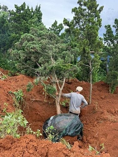 Cần bán 12 lô đất. Xã Phú Hội, Xã Ninh Gia, xã Tà Hine. xã Lạc Dương. 
