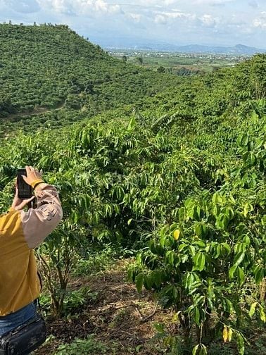 Cần bán 12 lô đất. Xã Phú Hội, Xã Ninh Gia, xã Tà Hine. xã Lạc Dương. 