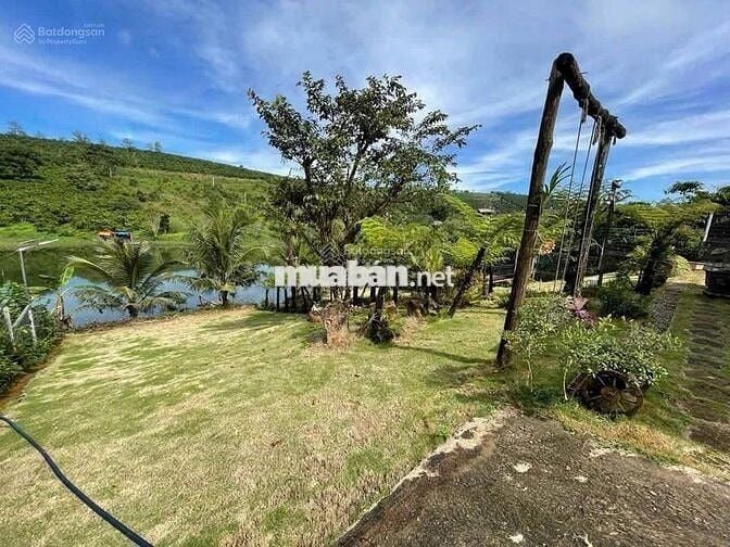 Bán nhanh lô đất view hồ 23x82,3m 1893m2 giá 500triệu sẵn nhà homestay