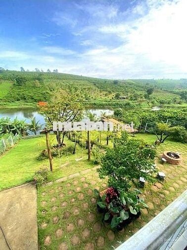 Bán nhanh lô đất view hồ 23x82,3m 1893m2 giá 500triệu sẵn nhà homestay