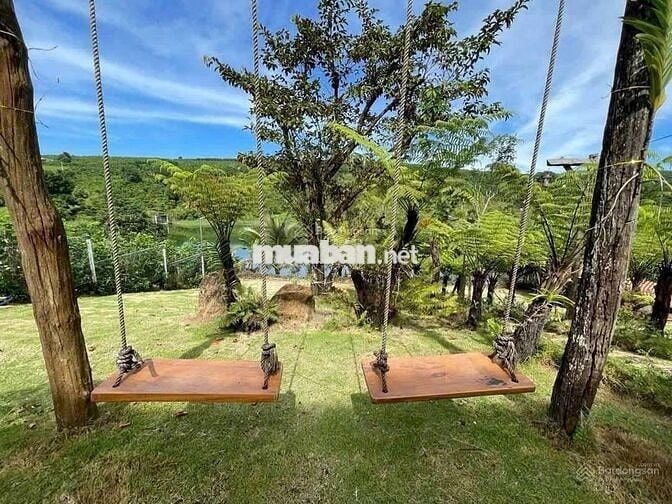 Bán nhanh lô đất view hồ 23x82,3m 1893m2 giá 500triệu sẵn nhà homestay