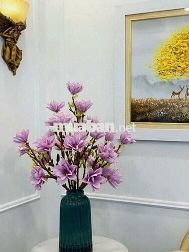 Bán nhanh chung cư Xa La, Hà Đông, 75m2, 2 phòng ngủ, 2 vệ sinh